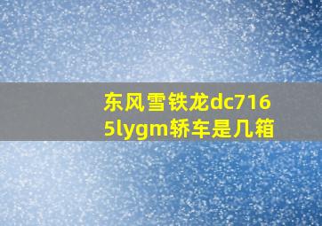 东风雪铁龙dc7165lygm轿车是几箱