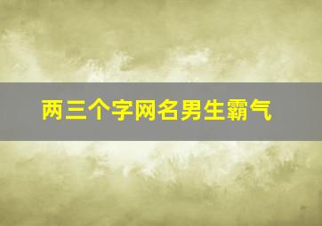 两三个字网名男生霸气