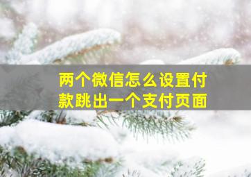 两个微信怎么设置付款跳出一个支付页面