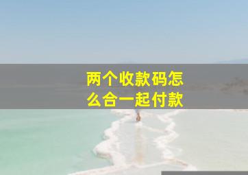 两个收款码怎么合一起付款