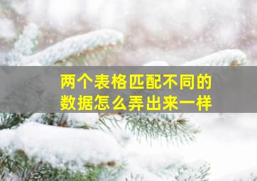 两个表格匹配不同的数据怎么弄出来一样