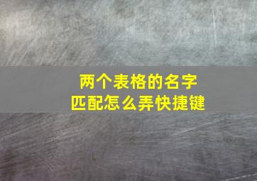 两个表格的名字匹配怎么弄快捷键