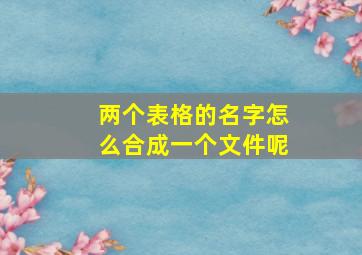 两个表格的名字怎么合成一个文件呢