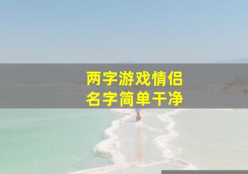 两字游戏情侣名字简单干净