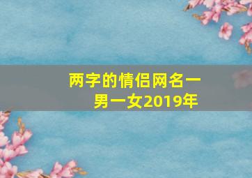 两字的情侣网名一男一女2019年