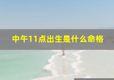 中午11点出生是什么命格