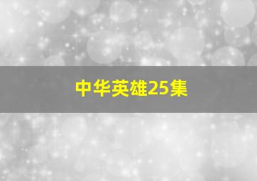 中华英雄25集