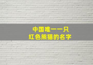 中国唯一一只红色熊猫的名字