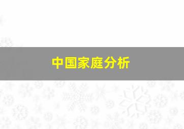 中国家庭分析