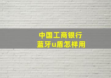 中国工商银行蓝牙u盾怎样用