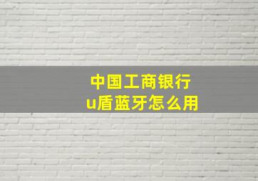 中国工商银行u盾蓝牙怎么用