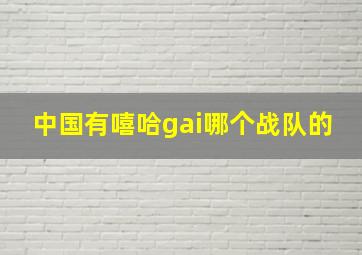 中国有嘻哈gai哪个战队的