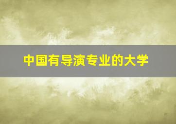 中国有导演专业的大学