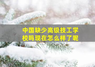 中国缺少高级技工学校吗现在怎么样了呢