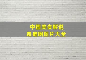 中国美食解说是谁啊图片大全