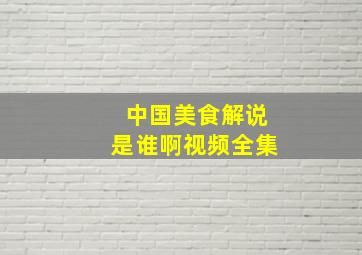 中国美食解说是谁啊视频全集