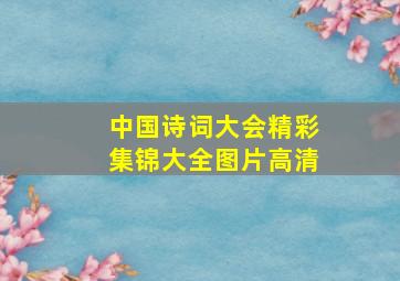 中国诗词大会精彩集锦大全图片高清