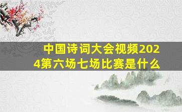 中国诗词大会视频2024第六场七场比赛是什么