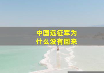 中国远征军为什么没有回来