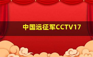 中国远征军CCTV17