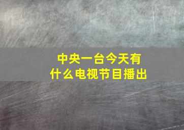 中央一台今天有什么电视节目播出