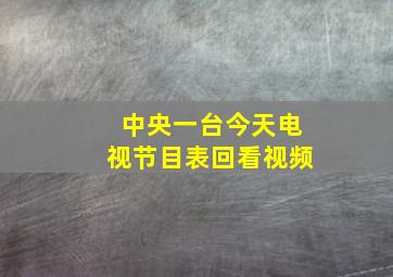 中央一台今天电视节目表回看视频