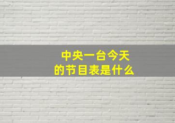 中央一台今天的节目表是什么