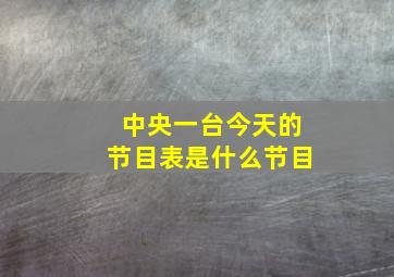 中央一台今天的节目表是什么节目