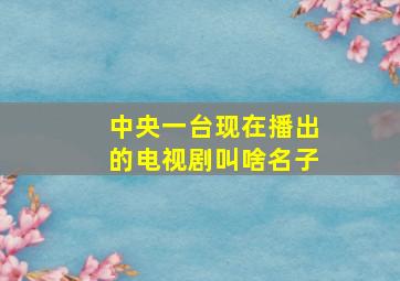 中央一台现在播出的电视剧叫啥名子