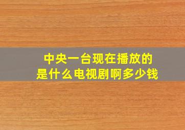 中央一台现在播放的是什么电视剧啊多少钱