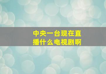 中央一台现在直播什么电视剧啊