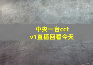 中央一台cctv1直播回看今天