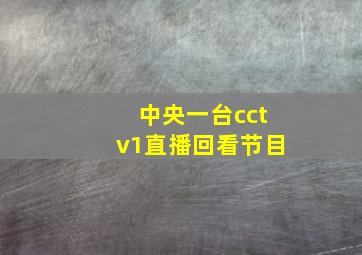 中央一台cctv1直播回看节目