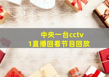 中央一台cctv1直播回看节目回放