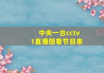 中央一台cctv1直播回看节目表