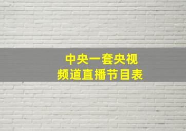 中央一套央视频道直播节目表