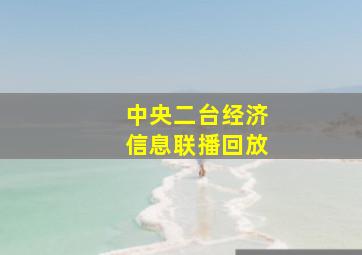 中央二台经济信息联播回放