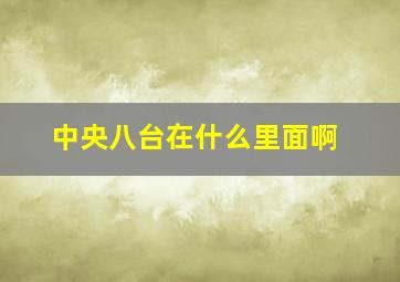 中央八台在什么里面啊