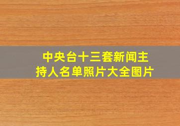 中央台十三套新闻主持人名单照片大全图片