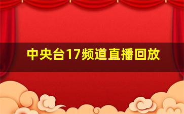 中央台17频道直播回放