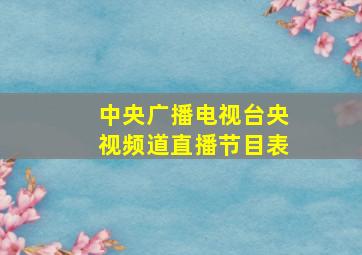 中央广播电视台央视频道直播节目表