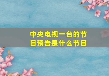 中央电视一台的节目预告是什么节目