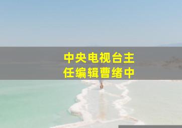 中央电视台主任编辑曹绪中