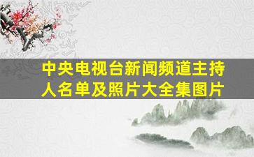 中央电视台新闻频道主持人名单及照片大全集图片