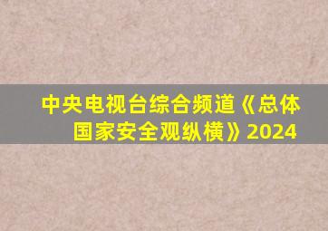 中央电视台综合频道《总体国家安全观纵横》2024