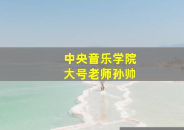 中央音乐学院大号老师孙帅