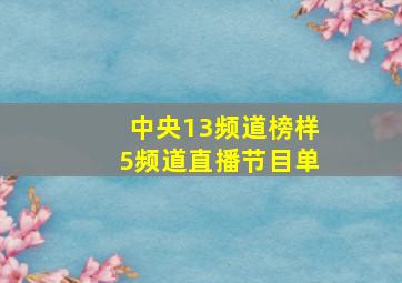 中央13频道榜样5频道直播节目单