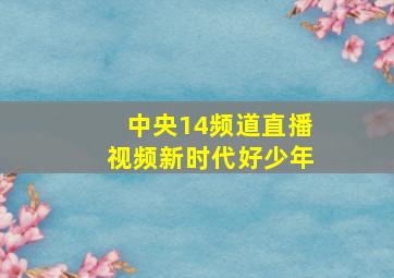 中央14频道直播视频新时代好少年