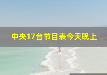 中央17台节目表今天晚上