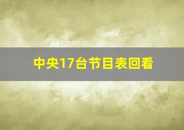 中央17台节目表回看